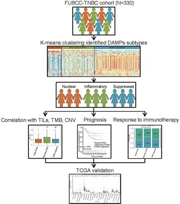 Immunogenic Cell Death-Relevant Damage-Associated Molecular Patterns and Sensing Receptors in Triple-Negative Breast Cancer Molecular Subtypes and Implications for Immunotherapy